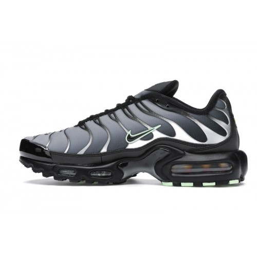 Кроссы Nike Air Max Plus Black Particle Grey Vapour Green - мужская сетка размеров