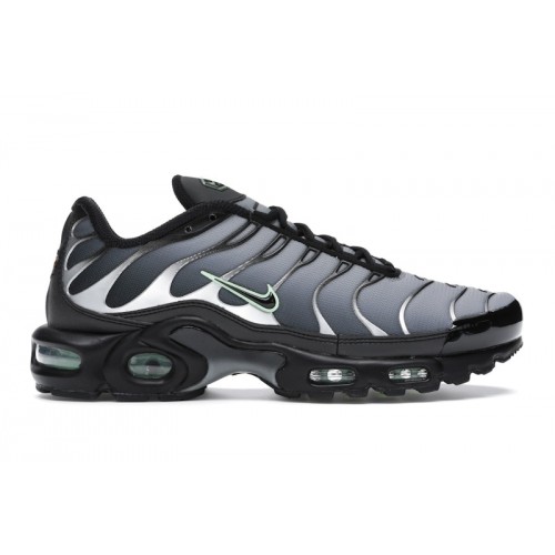 Кроссы Nike Air Max Plus Black Particle Grey Vapour Green - мужская сетка размеров