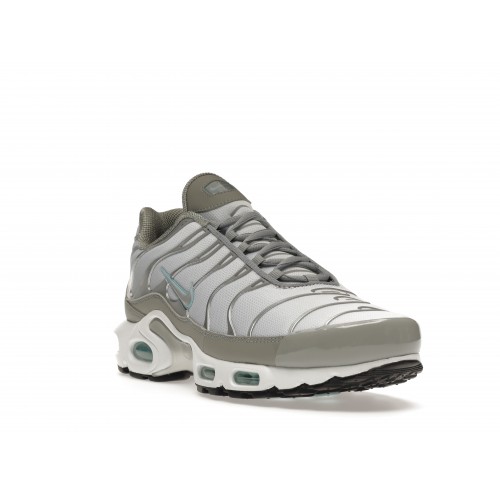 Кроссы Nike Air Max Plus Light Smoke Grey Glacier Ice - мужская сетка размеров