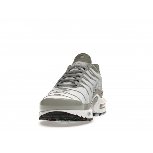 Кроссы Nike Air Max Plus Light Smoke Grey Glacier Ice - мужская сетка размеров