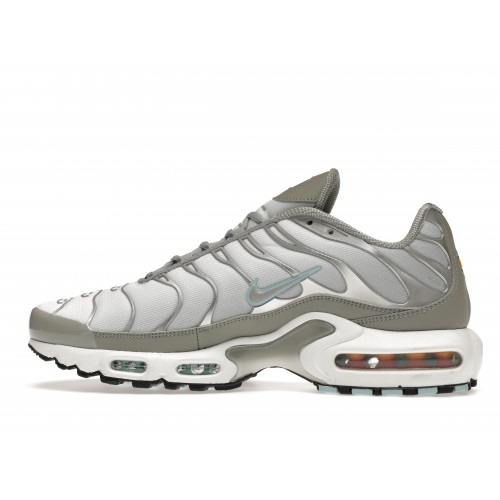 Кроссы Nike Air Max Plus Light Smoke Grey Glacier Ice - мужская сетка размеров