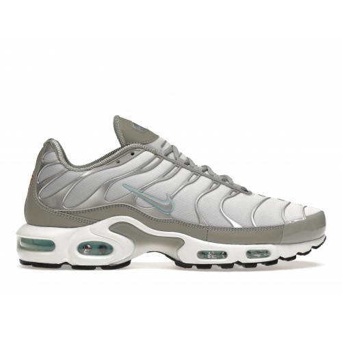 Кроссы Nike Air Max Plus Light Smoke Grey Glacier Ice - мужская сетка размеров