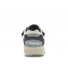 Кроссовки Mizuno Sky Medal Premium Graystone