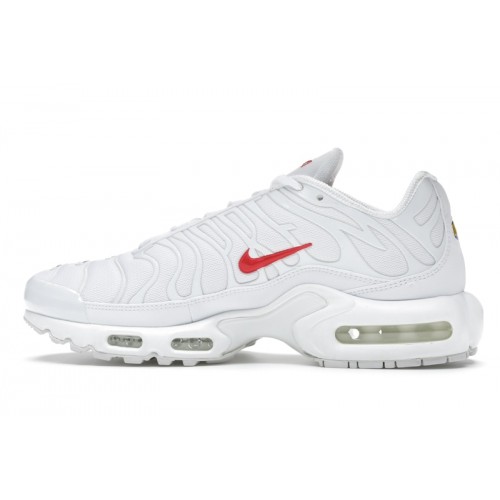 Кроссы Nike Air Max Plus Supreme White - мужская сетка размеров