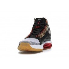 Кроссовки Jordan XXXIV Jayson Tatum Welcome To The Zoo