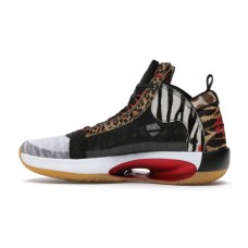 Кроссовки Jordan XXXIV Jayson Tatum Welcome To The Zoo
