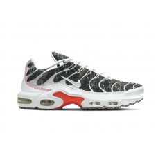 Кроссовки Nike Air Max Plus Essential Crater