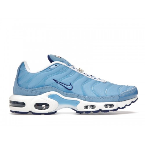 Кроссы Nike Air Max Plus First Use University Blue - мужская сетка размеров