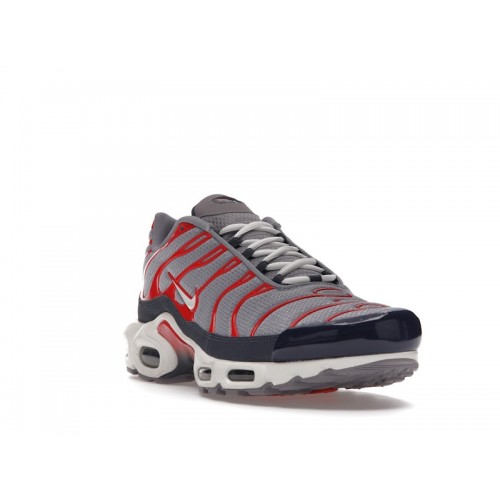 Кроссы Nike Air Max Plus USA Grey - мужская сетка размеров