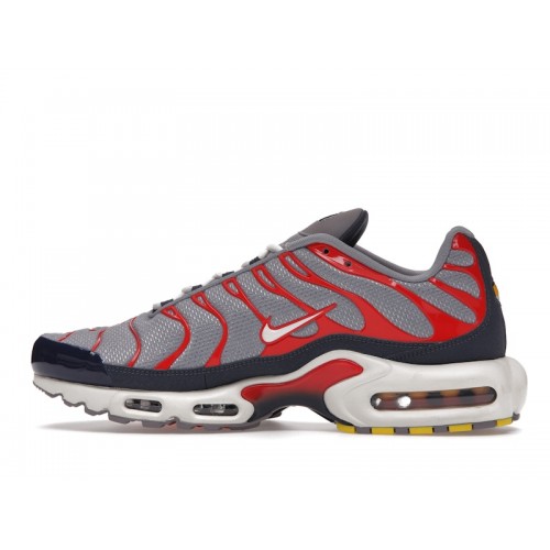 Кроссы Nike Air Max Plus USA Grey - мужская сетка размеров