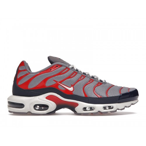 Кроссы Nike Air Max Plus USA Grey - мужская сетка размеров