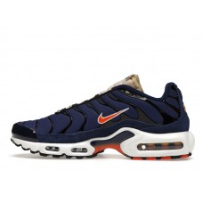 Nike Air Max Plus SE Air Max Running Club