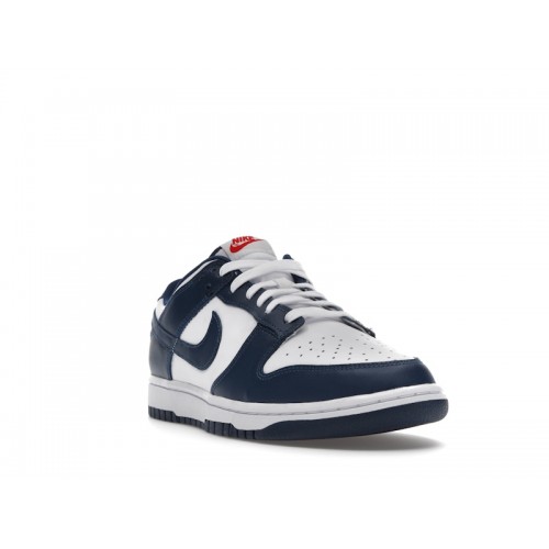 Кроссы Nike Dunk Low Valerian Blue - мужская сетка размеров