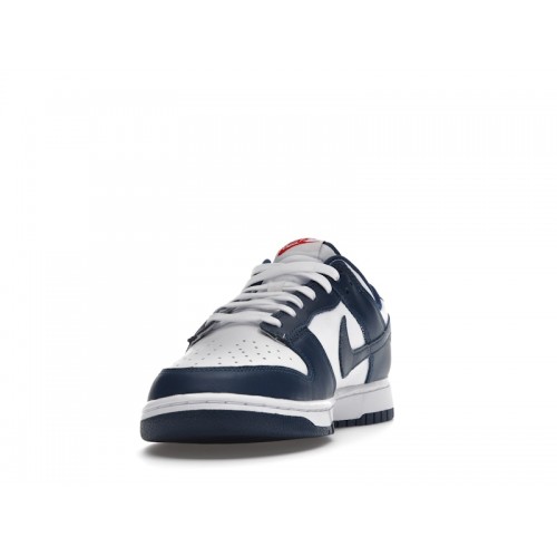 Кроссы Nike Dunk Low Valerian Blue - мужская сетка размеров