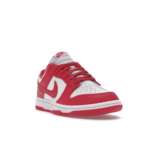 Кроссы Nike Dunk Low Archeo Pink (W) - женская сетка размеров