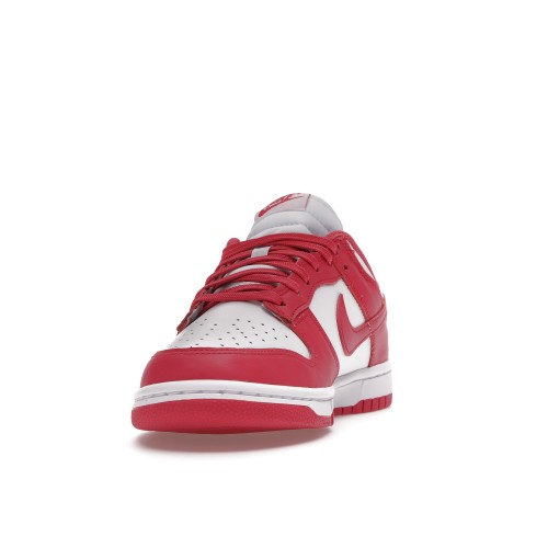 Кроссы Nike Dunk Low Archeo Pink (W) - женская сетка размеров
