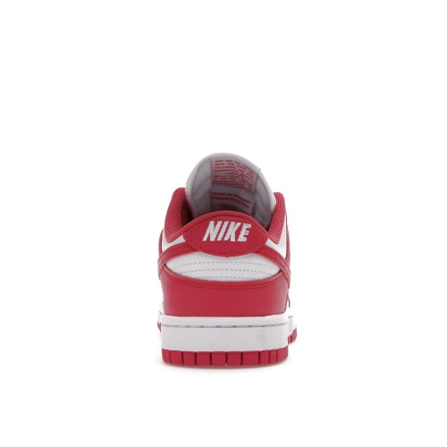 Кроссы Nike Dunk Low Archeo Pink (W) - женская сетка размеров