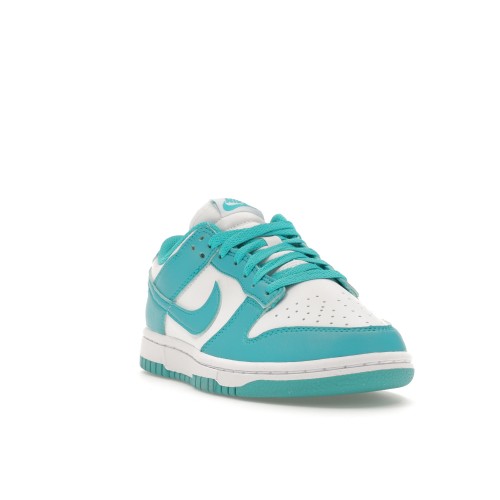 Кроссы Nike Dunk Low Next Nature Dusty Cactus (W) - женская сетка размеров