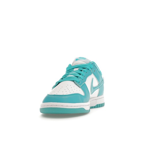 Кроссы Nike Dunk Low Next Nature Dusty Cactus (W) - женская сетка размеров