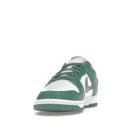 Женские кроссовки Nike Dunk Low Next Nature Bicoastal (W)