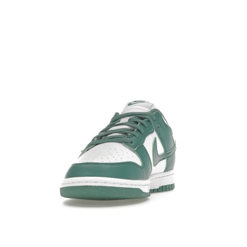 Кроссы Nike Dunk Low Next Nature Bicoastal (W) - женская сетка размеров