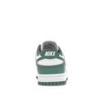 Женские кроссовки Nike Dunk Low Next Nature Bicoastal (W)