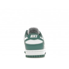 Женские кроссовки Nike Dunk Low Next Nature Bicoastal (W)