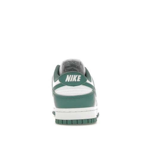 Кроссы Nike Dunk Low Next Nature Bicoastal (W) - женская сетка размеров