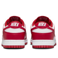 Женские Nike Dunk Low Next Nature St. Johns (W)