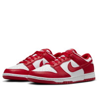 Женские Nike Dunk Low Next Nature St. Johns (W)