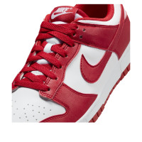 Женские Nike Dunk Low Next Nature St. Johns (W)
