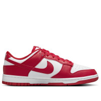 Женские Nike Dunk Low Next Nature St. Johns (W)