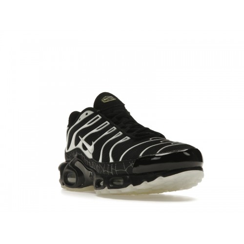 Кроссы Nike Air Max Plus Spider Web - мужская сетка размеров