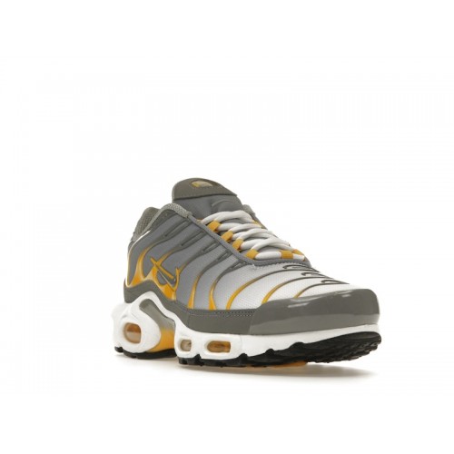 Кроссы Nike Air Max Plus Particle Grey Particle Grey Dark Sulfur - мужская сетка размеров