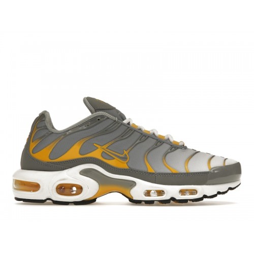 Кроссы Nike Air Max Plus Particle Grey Particle Grey Dark Sulfur - мужская сетка размеров