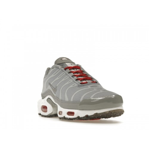 Кроссы Nike Air Max Plus Grey Red - мужская сетка размеров