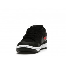 Кроссовки Nike SB Dunk Low Wasted Youth (Special Box)