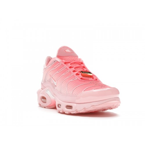 Кроссы Nike Air Max Plus City Special ATL (W) - женская сетка размеров