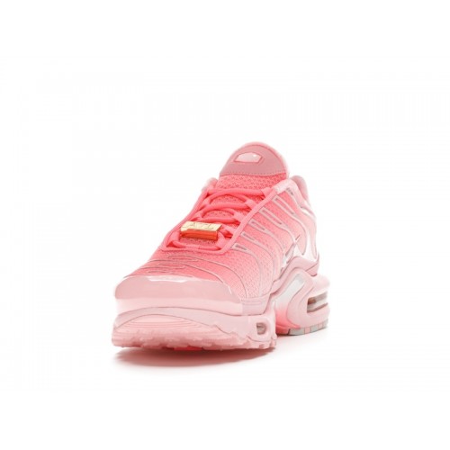 Кроссы Nike Air Max Plus City Special ATL (W) - женская сетка размеров