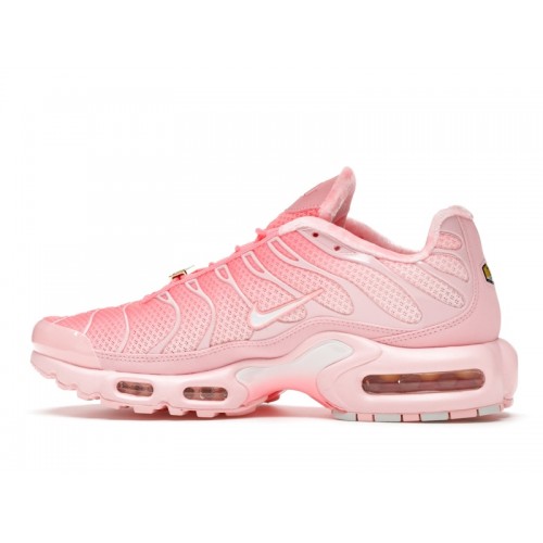 Кроссы Nike Air Max Plus City Special ATL (W) - женская сетка размеров