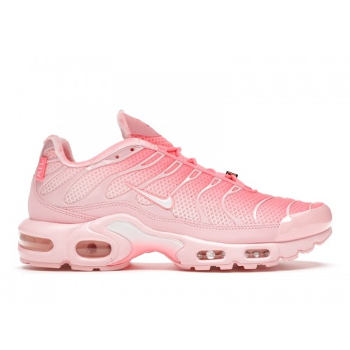 Кроссы Nike Air Max Plus City Special ATL (W) - женская сетка размеров