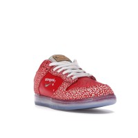 Кроссовки Nike SB Dunk Low Stingwater Magic Mushroom