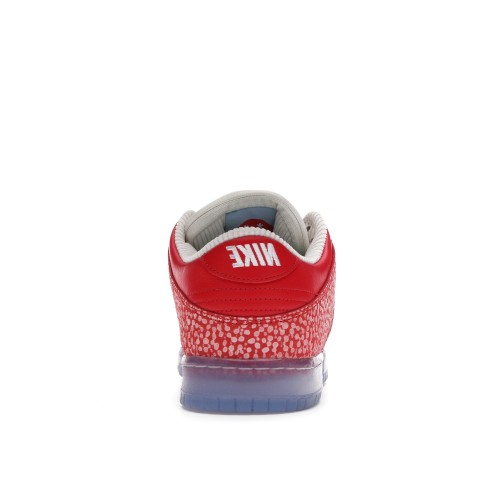 Кроссы Nike SB Dunk Low Stingwater Magic Mushroom - мужская сетка размеров