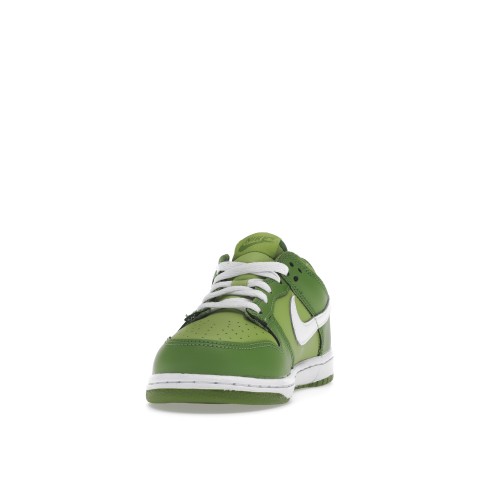 Кроссы Nike Dunk Low Chlorophyll (PS) - детская сетка размеров