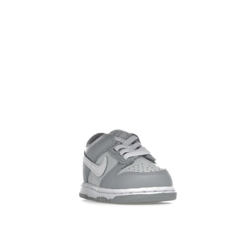 Кроссы Nike Dunk Low Two-Toned Grey (TD) - детская сетка размеров