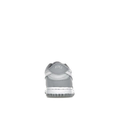Кроссы Nike Dunk Low Two-Toned Grey (TD) - детская сетка размеров