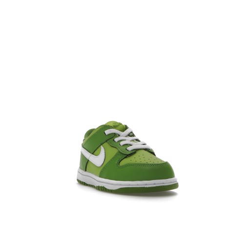 Кроссы Nike Dunk Low Chlorophyll (TD) - детская сетка размеров