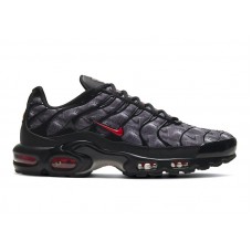 Кроссовки Nike Air Max Plus Topography Pack