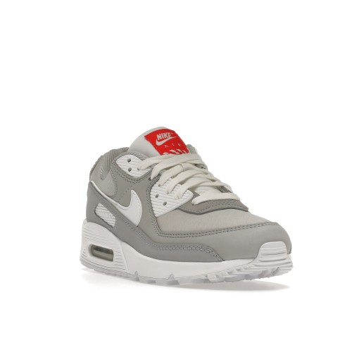 Кроссы Nike Air Max 90 Light Smoke Grey (W) - женская сетка размеров