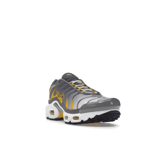Кроссы Nike Air Max Plus Particle Grey (GS) - подростковая сетка размеров